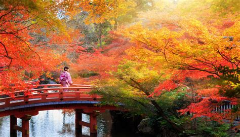 Japan in october. Things To Know About Japan in october. 